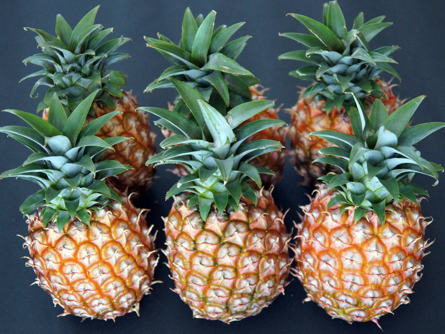 西表島産【ご予約商品】ピーチパイナップル5kg(6玉~8玉入)