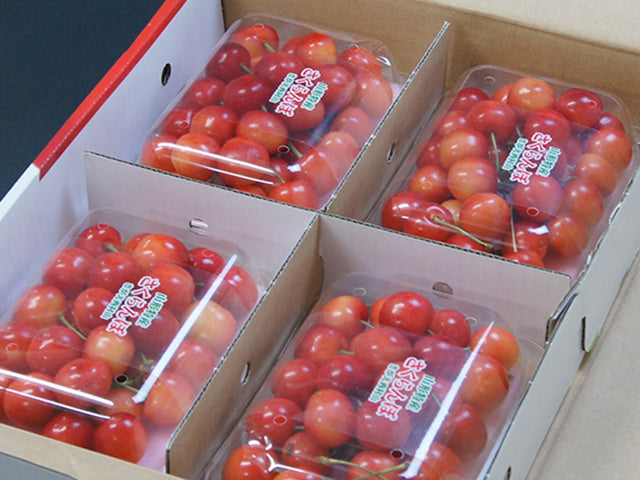 上級秀品 山形県産さくらんぼ 紅秀峰 2L 800g(フードパック200g×4)