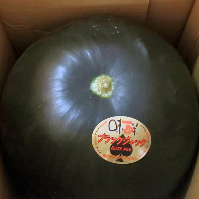 熊本県植木町産 厳選特秀品クラス「ブラックジャック」(3L~4Lサイズ 1玉)