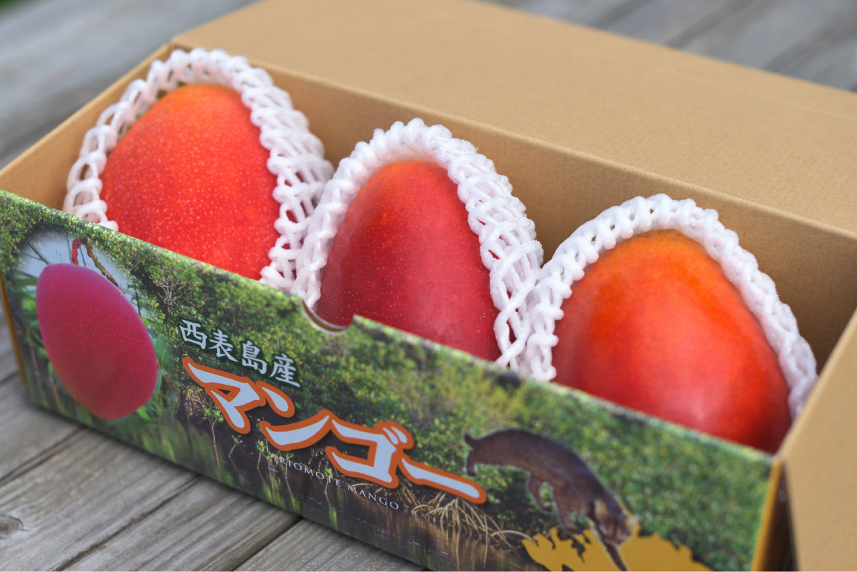 西表島産【ご予約商品】完熟マンゴー1kg(2~3玉)