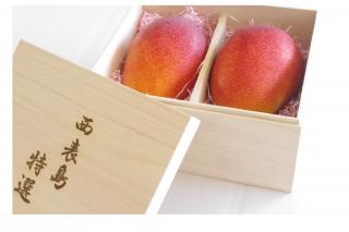 西表島産【ご予約商品】桐箱入り特選完熟マンゴー