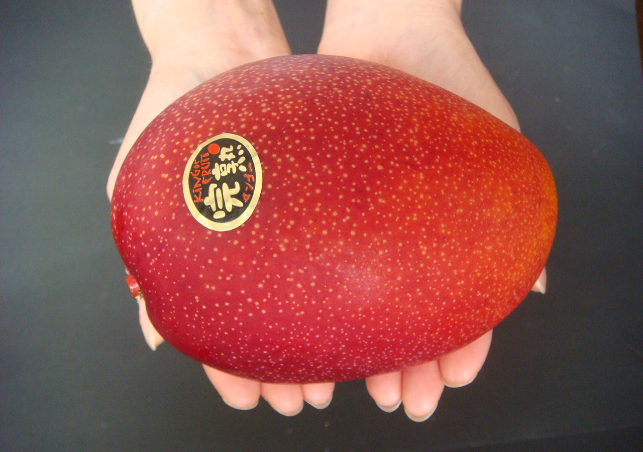 【宮崎産地厳選】上級 赤秀品(A品) 完熟マンゴー 化粧箱入 5L×1玉(税込・送料別)