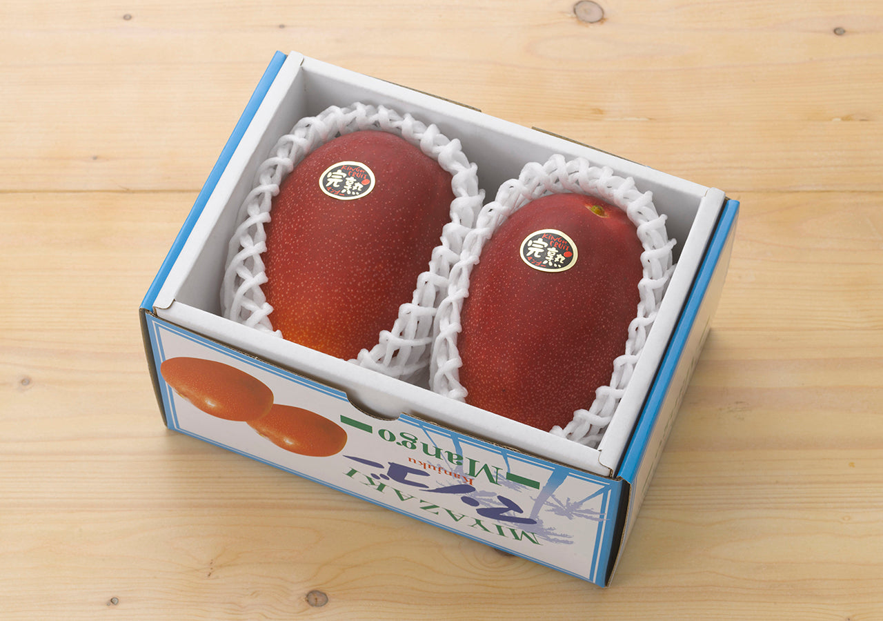 【宮崎産地厳選】上級 赤秀品(A品) 完熟マンゴー 化粧箱入 4L×2玉(税込・送料別)
