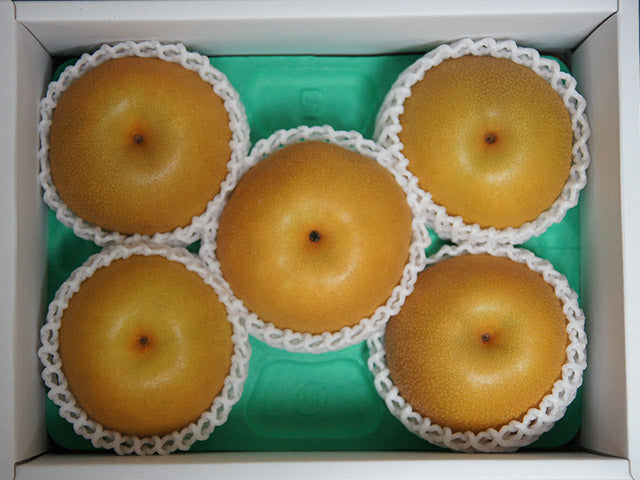 【大分県日田 アーム農園 完熟梨】厳選 秀品「豊水」 2.5kg/5玉(税込・送料込)
