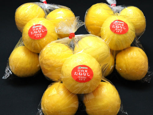 宮崎県産 たっぷり お値打ち日向夏(種無し) 3袋 2,400g以上(税込・送料別)