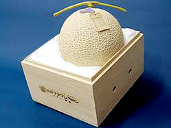 静岡県産 上級 山 クラウンメロン 高級桐箱 1玉（1.3kg）