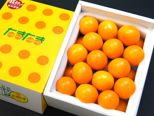 【完全予約制】プレミアム 上級 A品 手詰めきんかん たまたま 超特大4L
