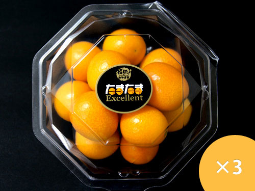 宮崎県産 最上級 A品 完熟きんかん たまたまエクセレント 2L 250g×3パック
