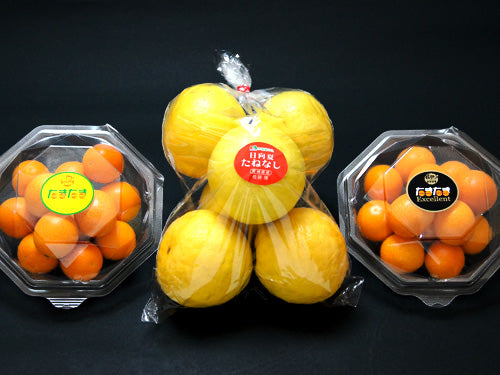 【ビタミン補給】 ご家庭用日向夏(種無し) 1袋・完熟きんかん たまたまエクセレント1パック・たまたま1パック詰め合わせ