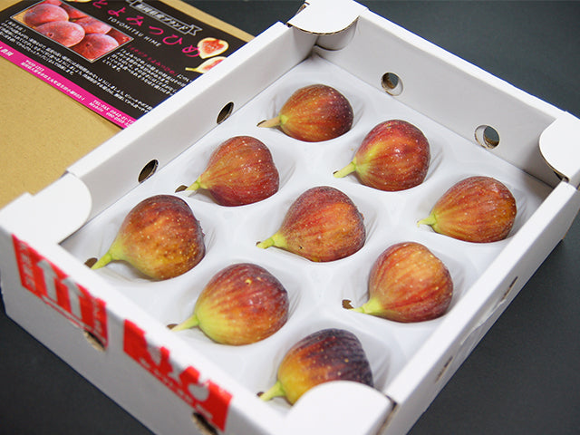 【無農薬いちじく】福岡県産「とよみつひめ」超大玉秀品9玉(大玉)入り