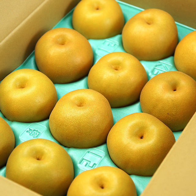 【大分県日田 アーム農園 完熟梨】厳選 秀品「あきづき」 5kg/10玉〜14玉(税込・送料込)