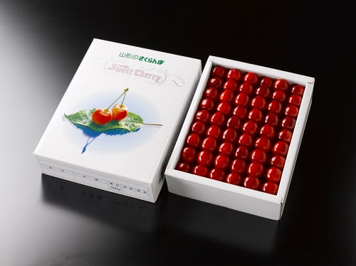 最上級特秀品 山形県産さくらんぼ 佐藤錦 L 500g(高級化粧箱手詰)