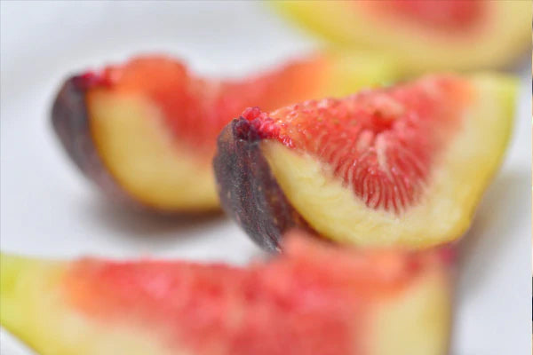 【福岡県 いのうえ農園 無農薬イチジク】秀品「とよみつひめ」大玉9玉/750g〜850g(税込・送料込)