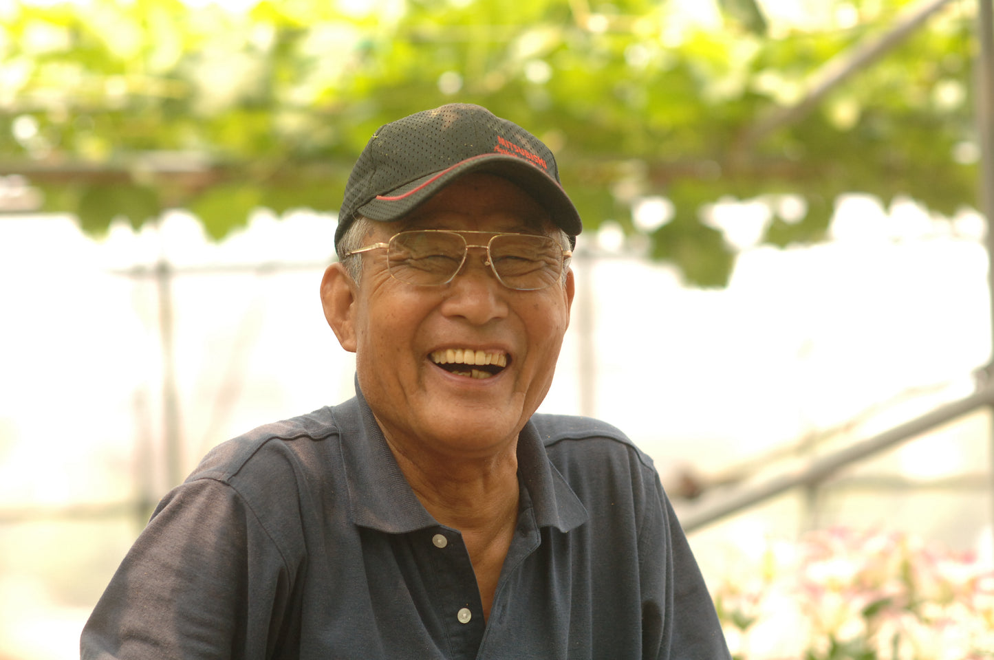 匠 吉田宣孝 超超特大房 桃太郎ぶどう 1房 1.4kg(税込・送料込み)