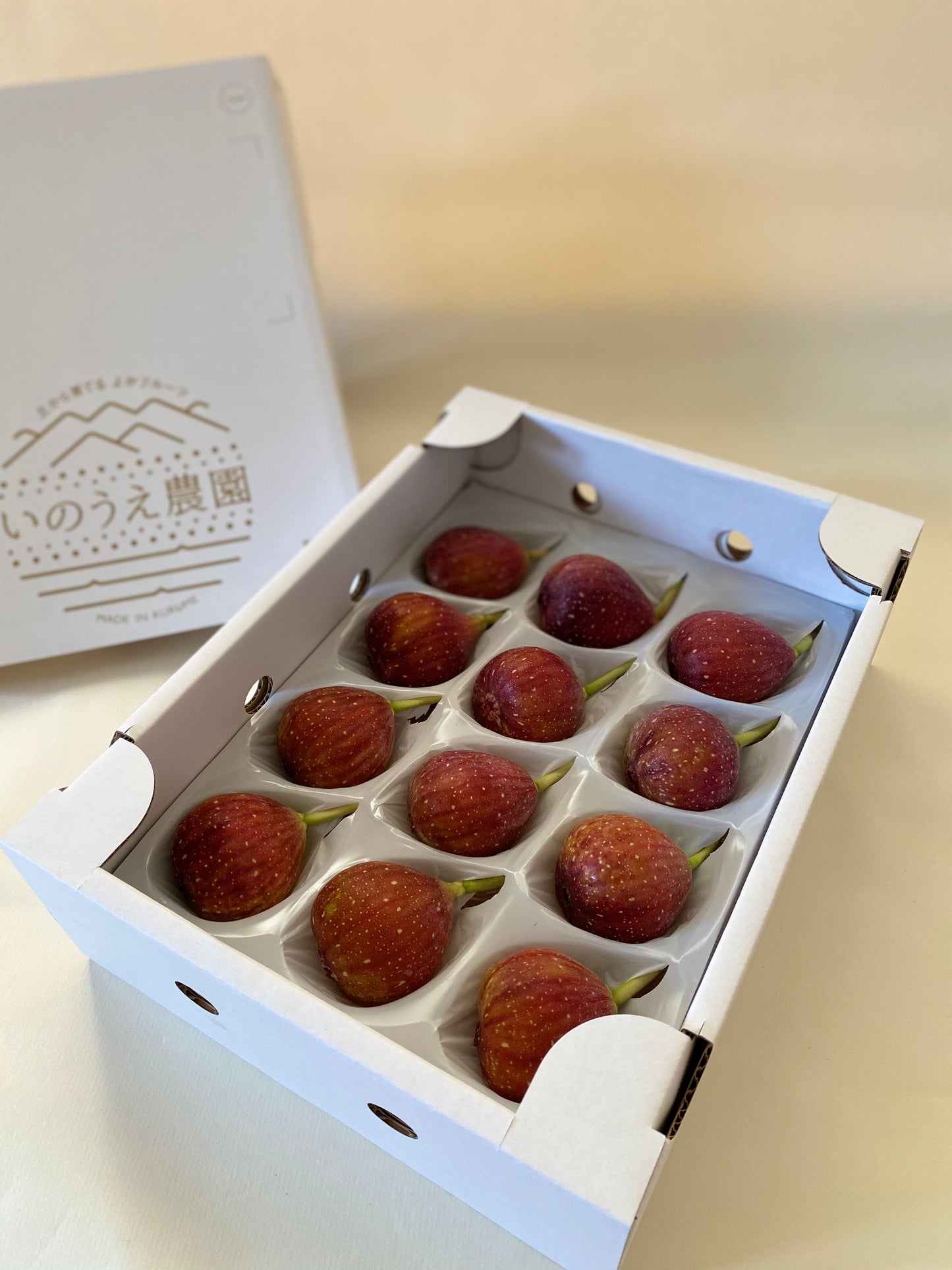 【福岡県 いのうえ農園 無農薬イチジク】秀品「とよみつひめ」12玉/750g〜850g(税込・送料込)