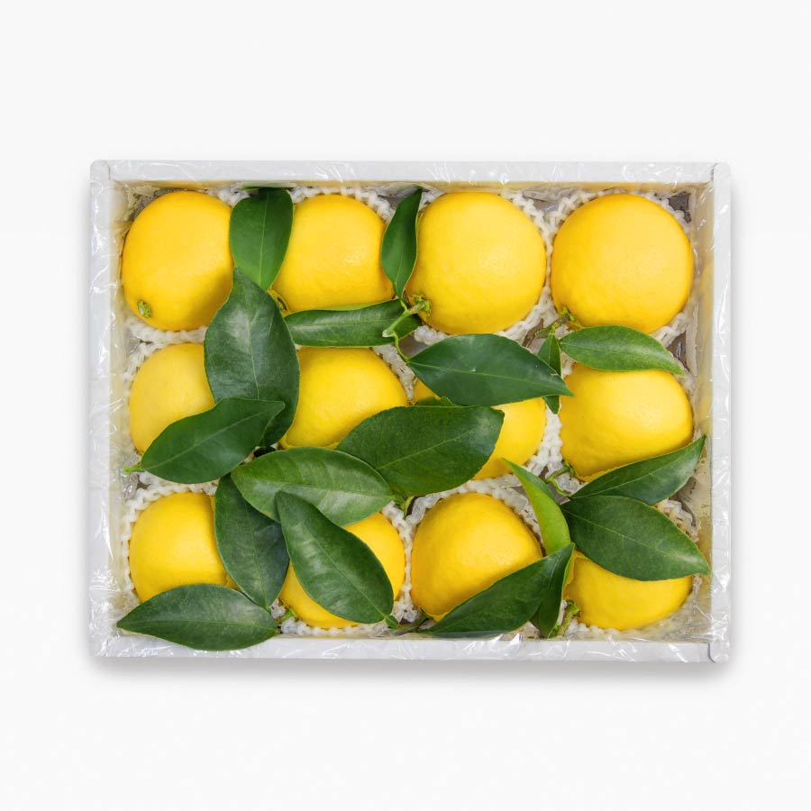 宮崎県産 最上級 赤秀品 プリンセス日向夏(種無し) 12玉