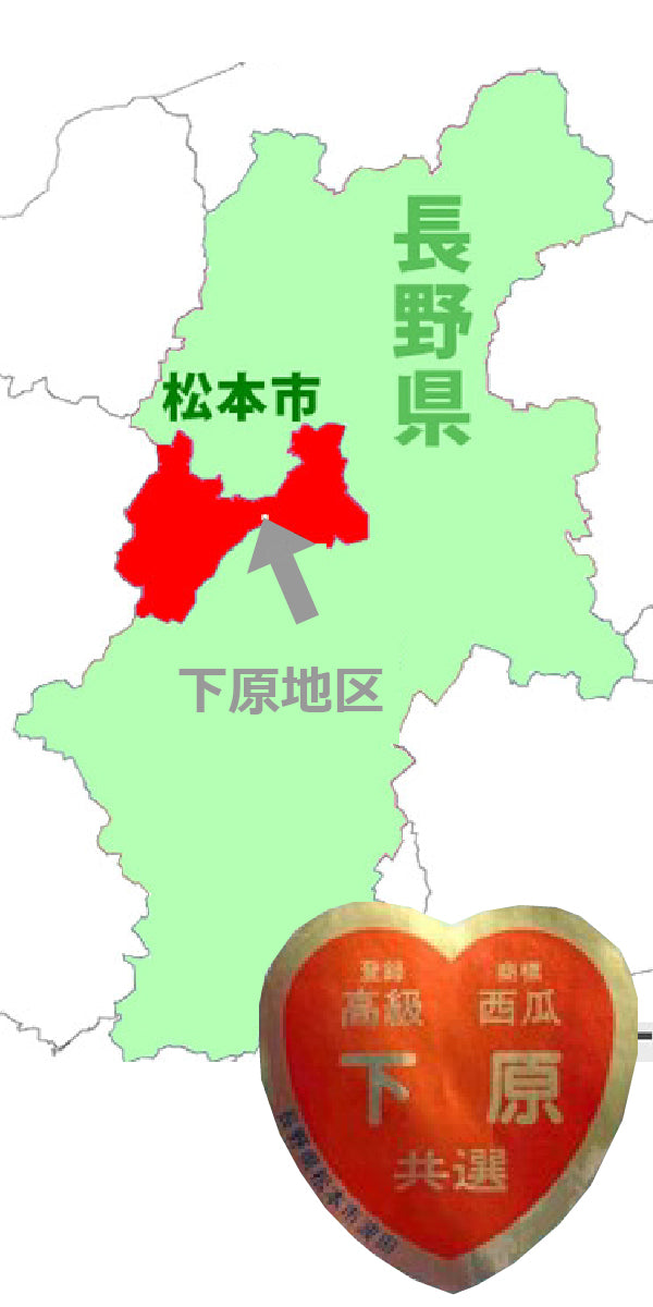 長野県産下原完熟すいか