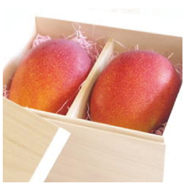 沖縄県西表島産「完熟マンゴー」と「完熟パイナップル」 納品形態
