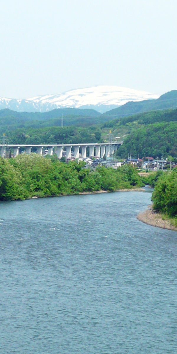 山形県産さくらんぼ 佐藤錦・紅秀峰