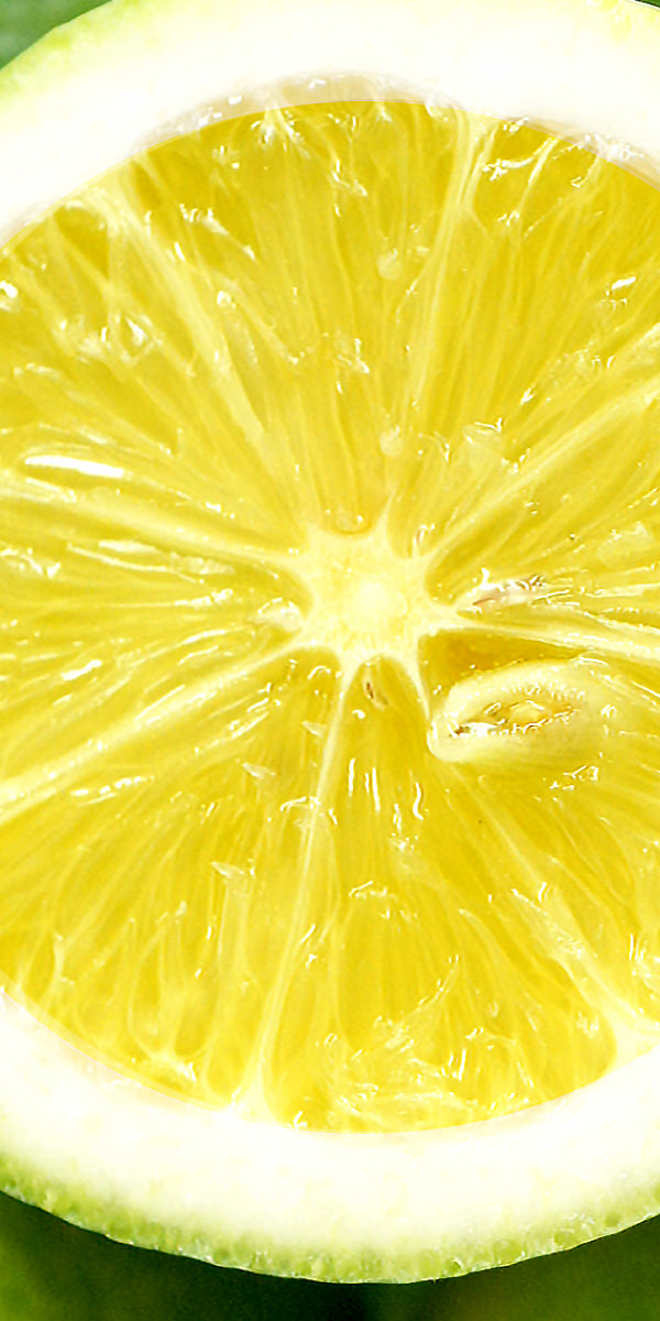 広島県瀬戸田町産 エコレモン