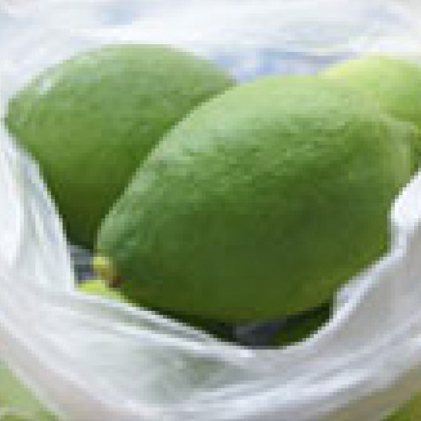 エコレモンの 美味しい保存方法1