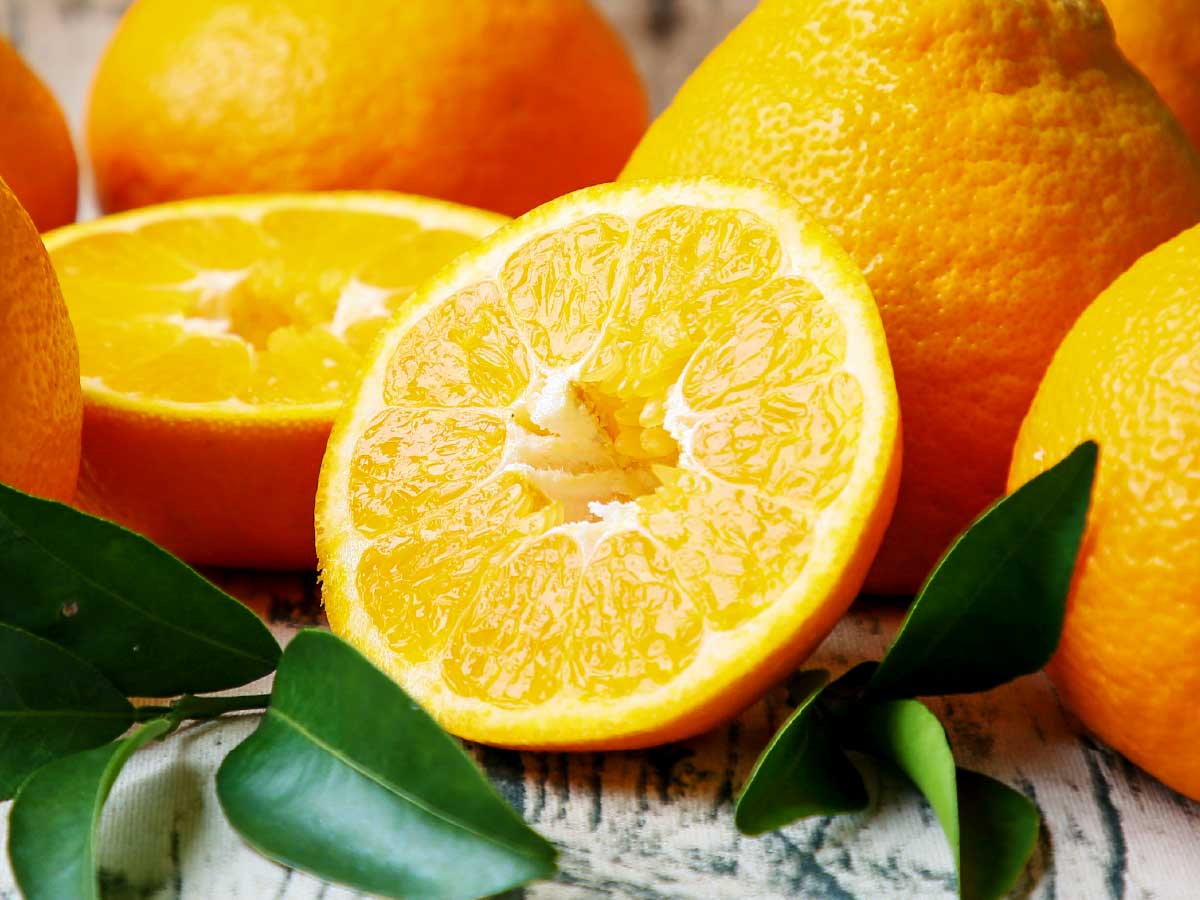 愛媛県産 特選 伊予柑(いよかん)