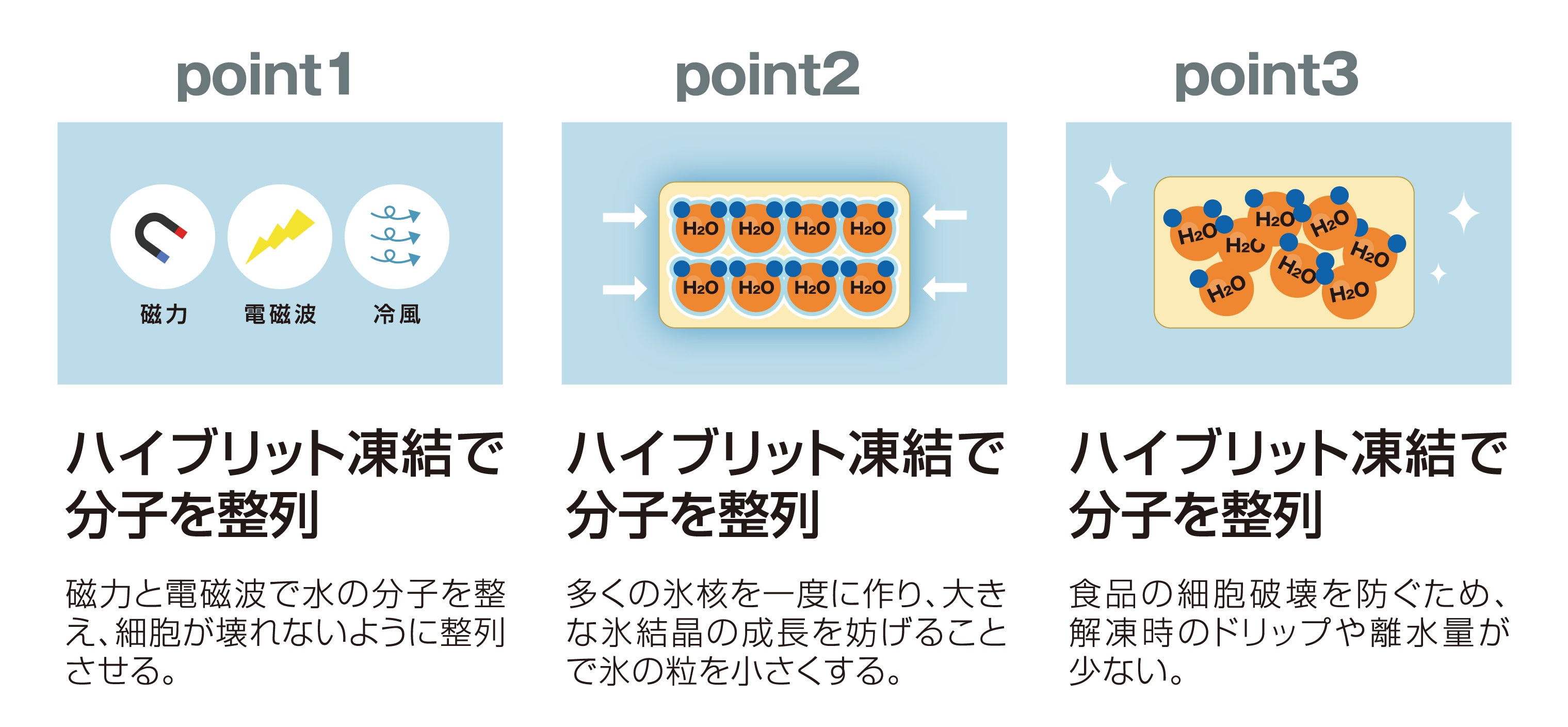 北海道産ホタテ貝柱 プロトン凍結製法2