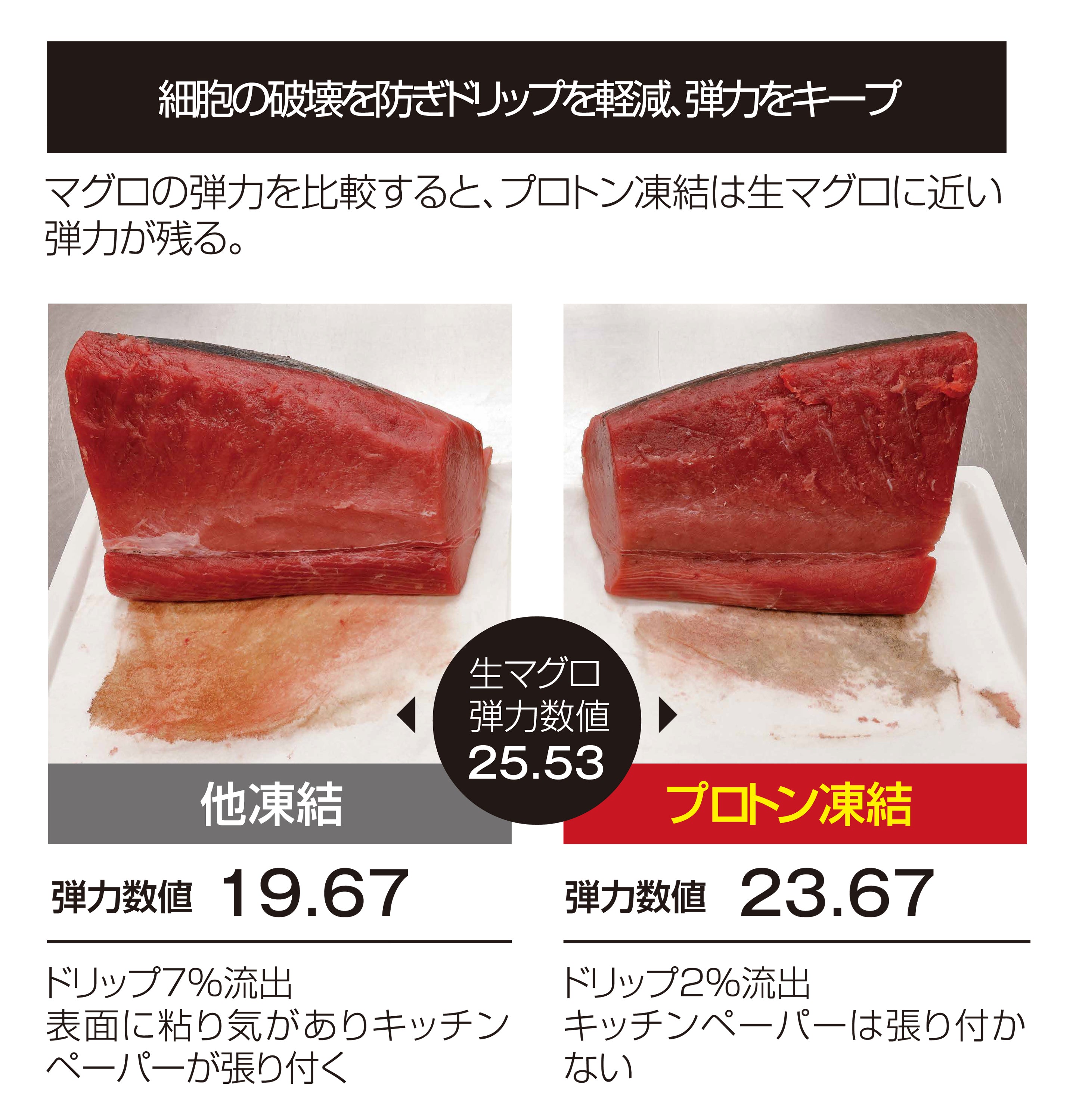 北海道産ホタテ貝柱 プロトン凍結製法4