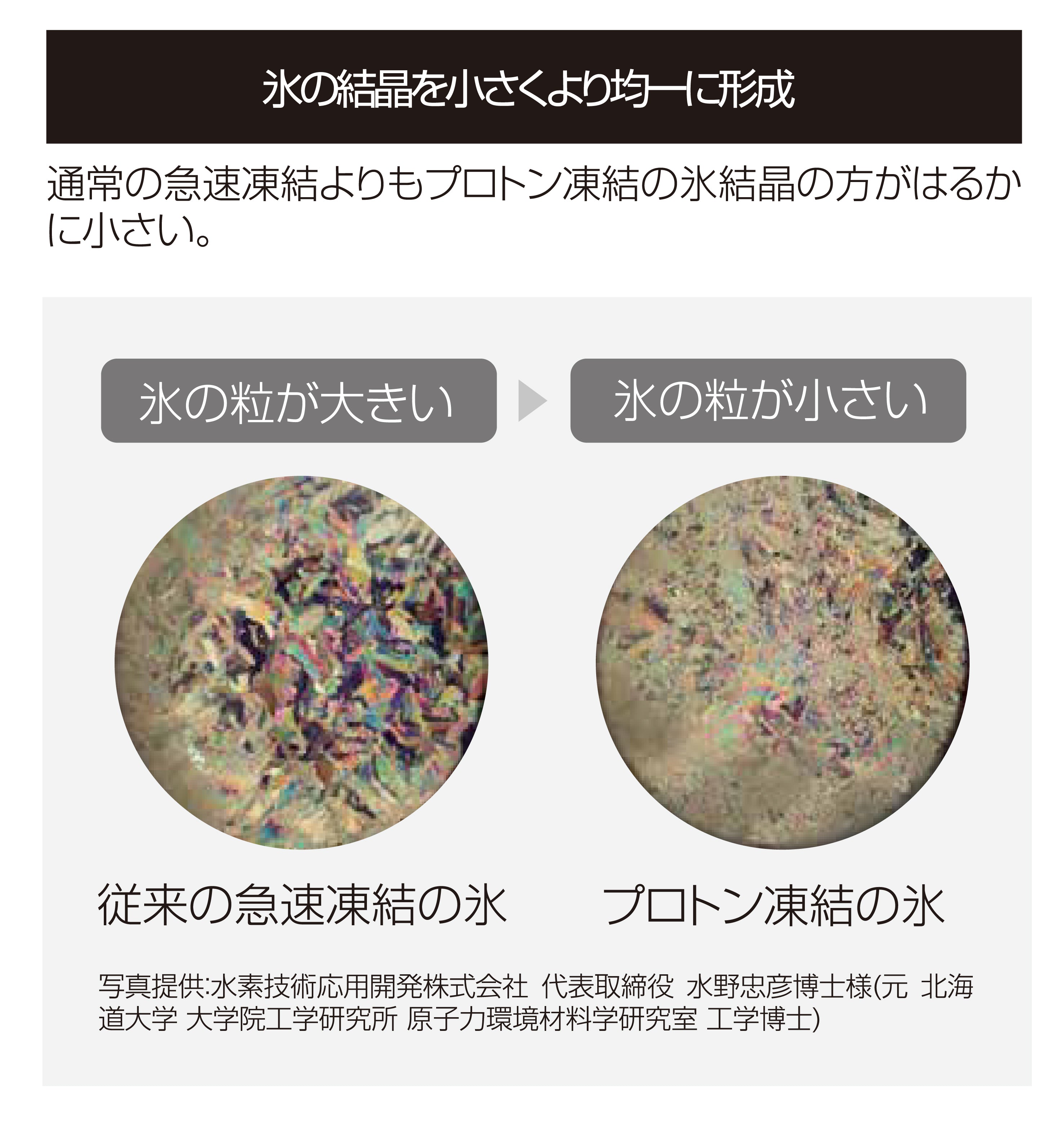 北海道産ホタテ貝柱 プロトン凍結製法5
