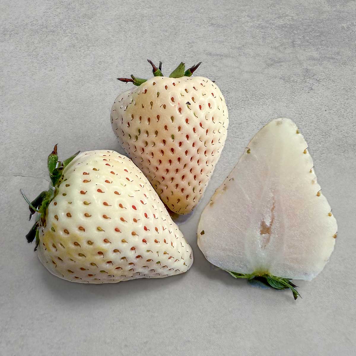 【佐賀県 唐津市産】雪うさぎ250g×2パック(税込)