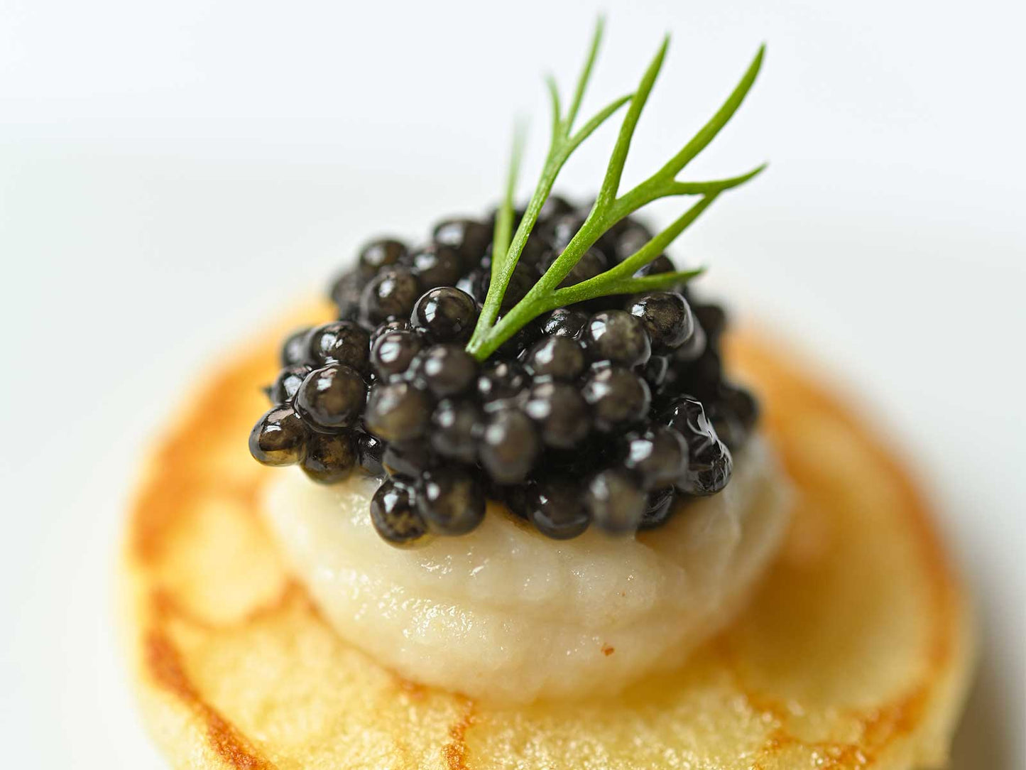 宮崎キャビア1983 バエリプレミアム(20g) & 宮崎キャビア1983 バエリ旨味(20g)豪華食べ比べセット(税込・送料別込み)