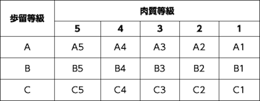 宮崎牛　③「等級表示」