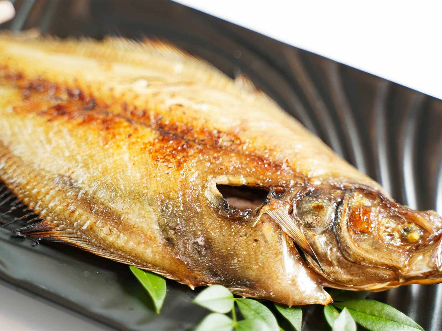 島根県産 干物 エテかれい