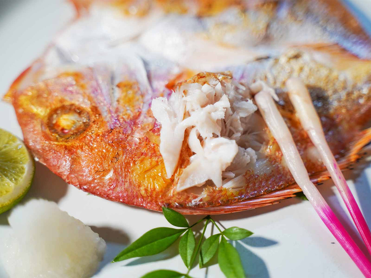 島根県産 干物 れんこ鯛