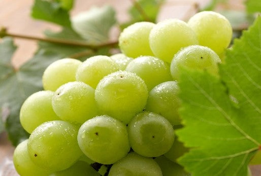 【岡山県産 】 厳選 シャインマスカット&ピオーネ詰合せ 2房 1.1kg(税込・送料込み)