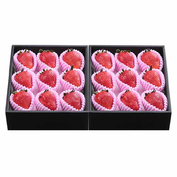 栃木県産 プレミアムスカイベリー 予約販売開始！