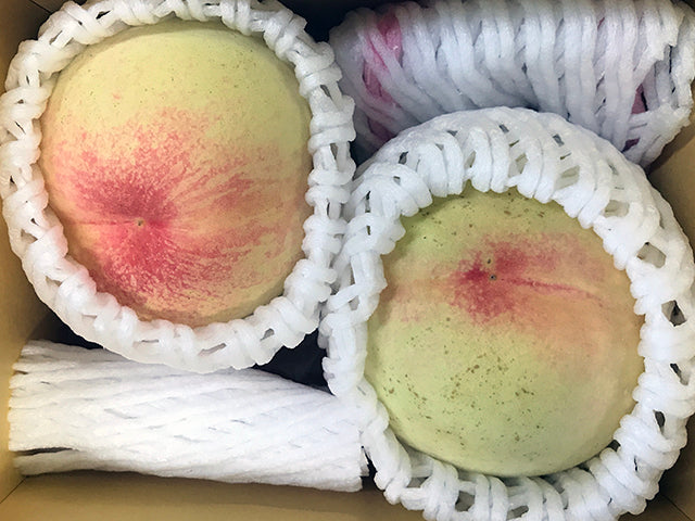 岡山県倉敷市産「白桃」秀品2玉入り（桃 重量：約700g）