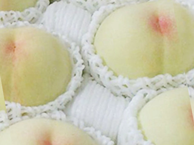岡山県倉敷市産「白桃」秀品10玉入り（桃 重量：約3.0kg）