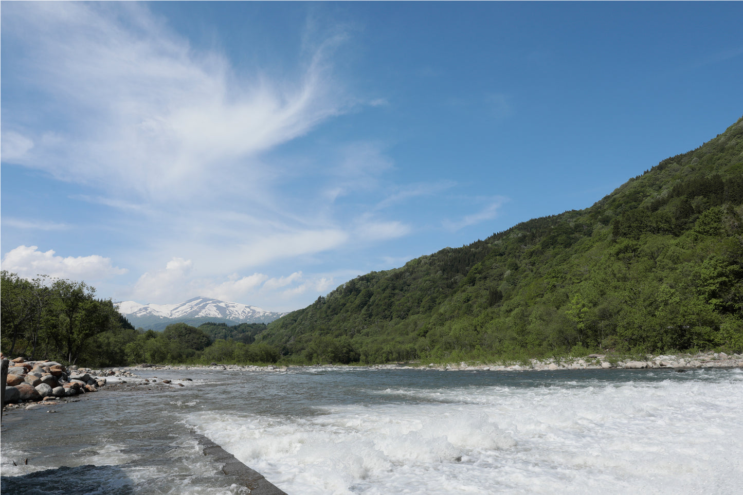 【受注精米】令和6年度産 新米 山形県産 最上級 1等米・特別栽培米「厳選つや姫」 5kg（税込・送料込み）