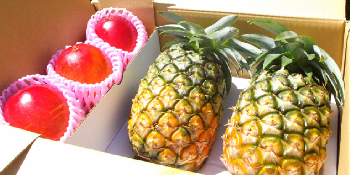 沖縄県西表島産「完熟マンゴー」と「完熟パイナップル」