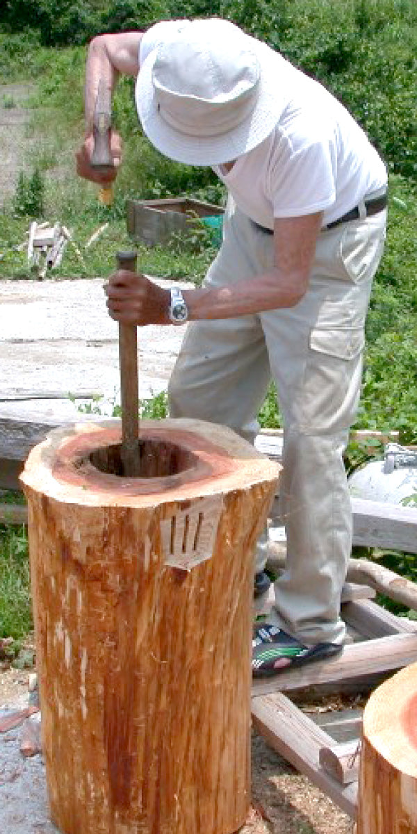 長崎県対馬産 和蜂天然はちみつ 蜂洞を掘る男性