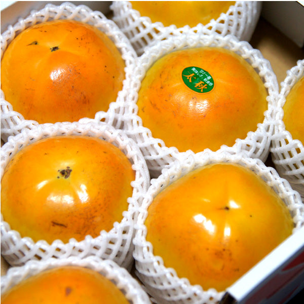 福岡県産 プレミアム甘柿 – とびっきりギフト