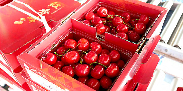 山形県産 さくらんぼ – とびっきりギフト