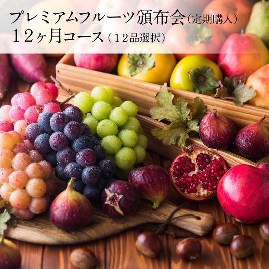 頒布会12ヶ月コース