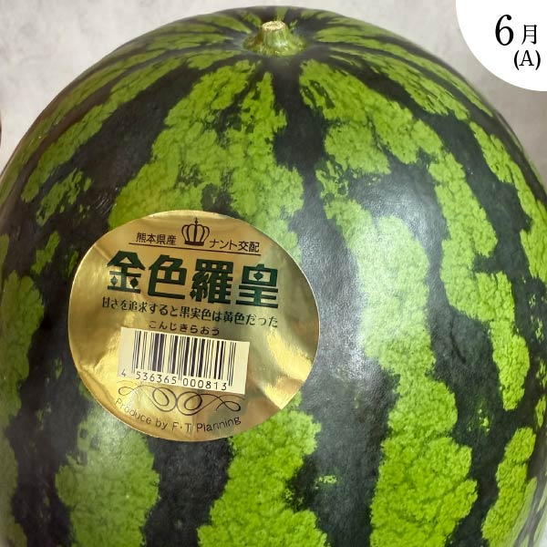 頒布会コース内容6月A