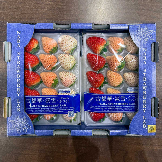 【奈良県産】豪華プレミアムいちご3種類食べ比べセット 古都華（ことか）・淡雪（あわゆき）・パールホワイト 250g×2パック（税込）