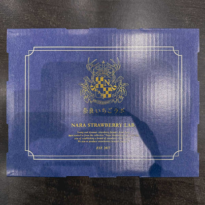 【奈良県産】豪華プレミアムいちご3種類食べ比べセット 古都華（ことか）・淡雪（あわゆき）・パールホワイト 250g×2パック（税込）