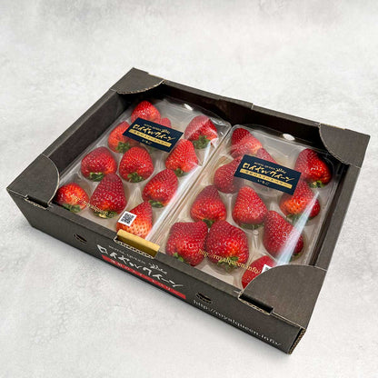 【栃木県産】ロイヤルクイーン 260g×2パック（税込）