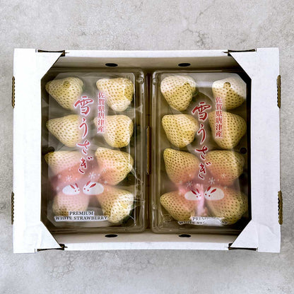 【佐賀県 唐津市産】雪うさぎ250g×2パック（税込）