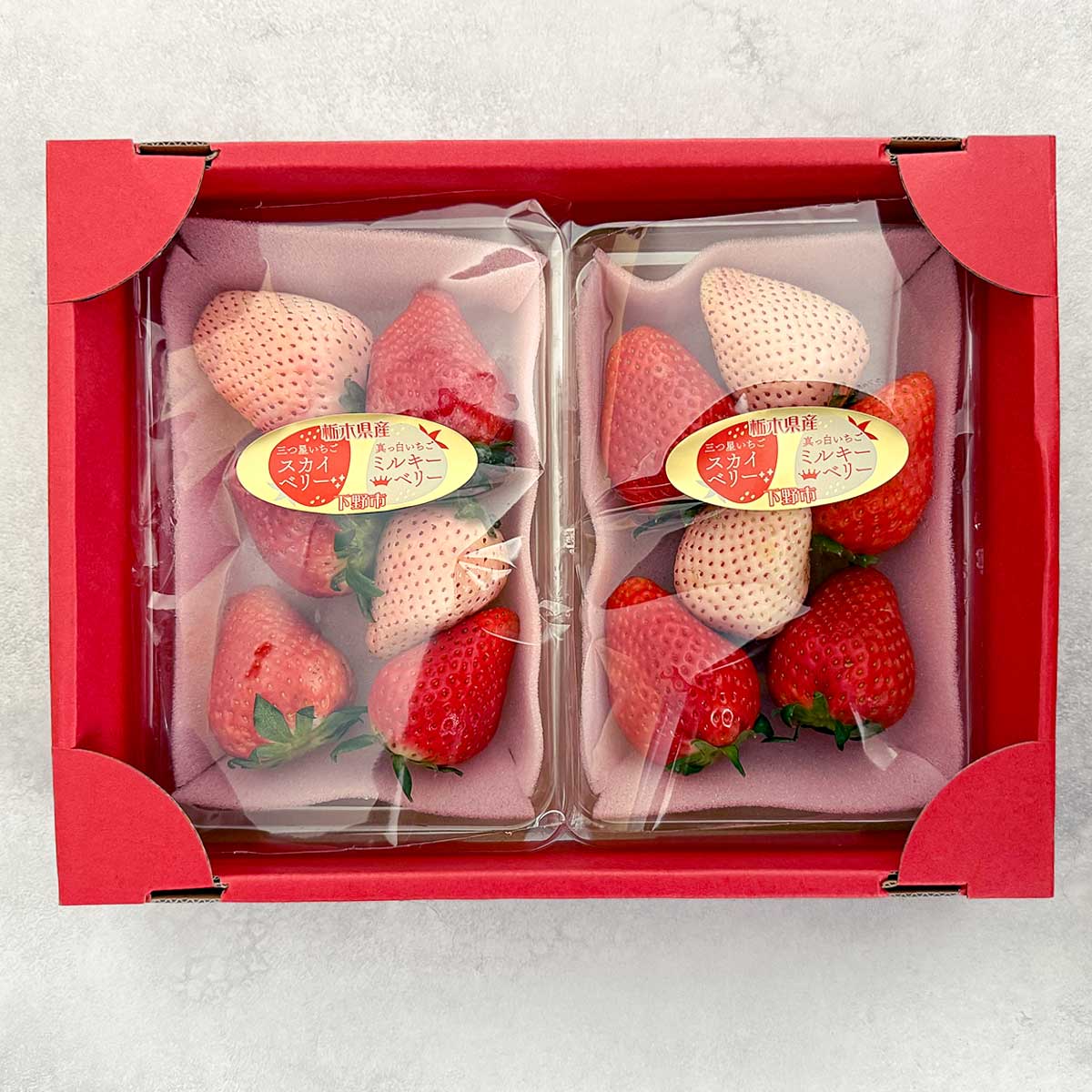 【栃木県産】ミルキーベリー＆スカイベリー 250g×2パック（税込）